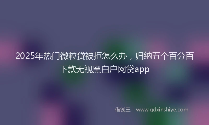 2025年热门微粒贷被拒怎么办，归纳五个百分百下款无视黑白户网贷app