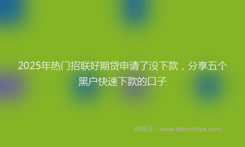 2025年热门招联好期贷申请了没下款，分享五个黑户快速下款的口子