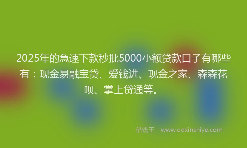 2025年的急速下款秒批5000小额贷款口子有哪些有：现金易融宝贷、爱钱进、现金之家、森森花呗、掌上贷通等。