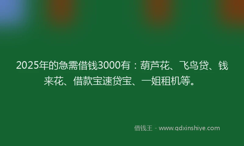 2025年的急需借钱3000有：葫芦花、飞鸟贷、钱来花、借款宝速贷宝、一姐租机等。