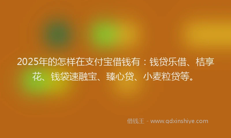 2025年的怎样在支付宝借钱有：钱贷乐借、桔享花、钱袋速融宝、臻心贷、小麦粒贷等。