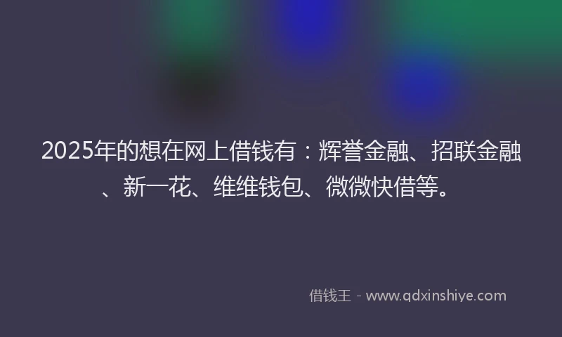 2025年的想在网上借钱有：辉誉金融、招联金融、新一花、维维钱包、微微快借等。