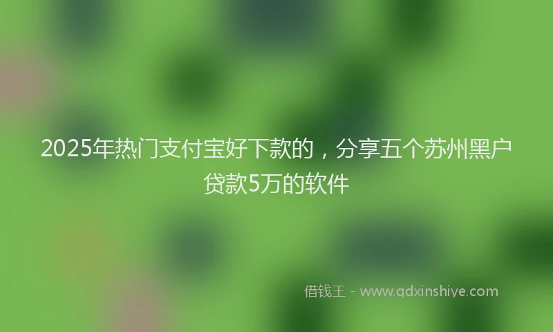 2025年热门支付宝好下款的，分享五个苏州黑户贷款5万的软件