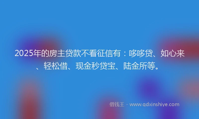 2025年的房主贷款不看征信有：哆哆贷、如心来、轻松借、现金秒贷宝、陆金所等。