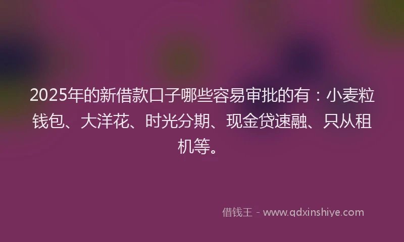 2025年的新借款口子哪些容易审批的有：小麦粒钱包、大洋花、时光分期、现金贷速融、只从租机等。