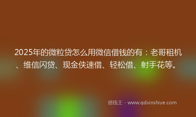2025年的微粒贷怎么用微信借钱的有：老哥租机、维信闪贷、现金侠速借、轻松借、射手花等。