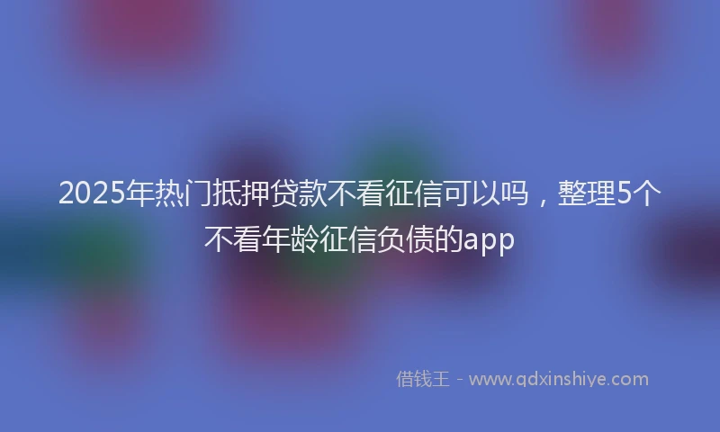 2025年热门抵押贷款不看征信可以吗，整理5个不看年龄征信负债的app