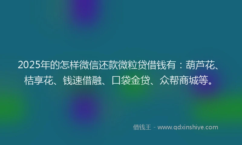 2025年的怎样微信还款微粒贷借钱有：葫芦花、桔享花、钱速借融、口袋金贷、众帮商城等。