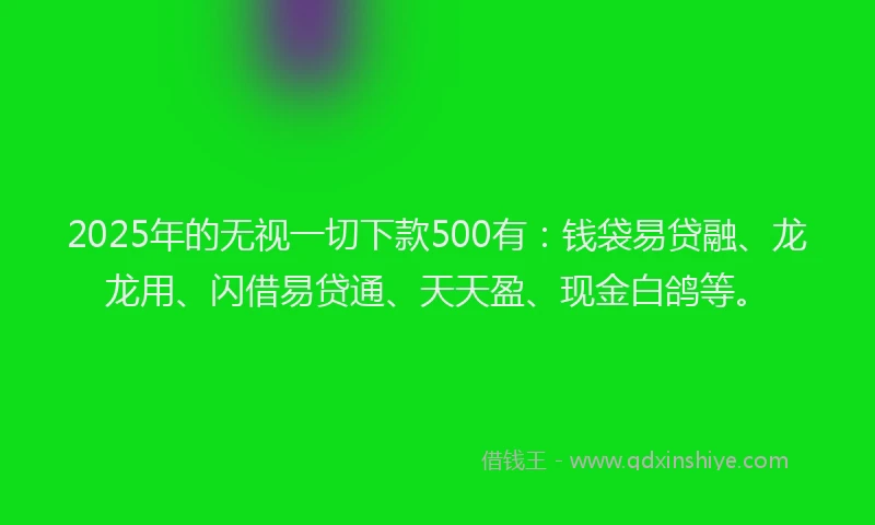 2025年的无视一切下款500有：钱袋易贷融、龙龙用、闪借易贷通、天天盈、现金白鸽等。