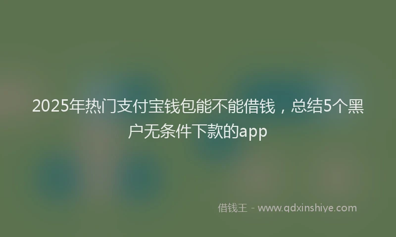 2025年热门支付宝钱包能不能借钱，总结5个黑户无条件下款的app