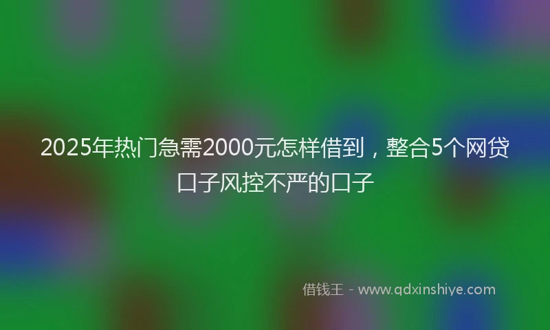 2025年热门急需2000元怎样借到，整合5个网贷口子风控不严的口子