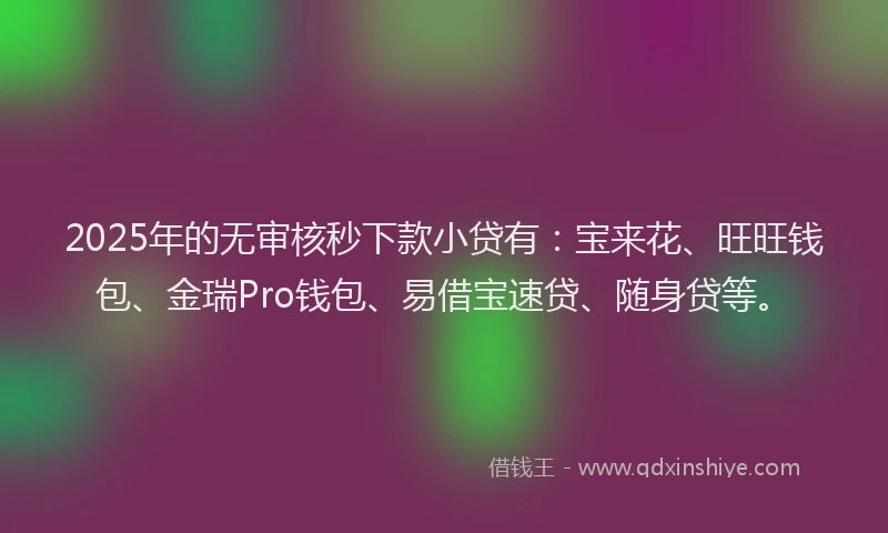 2025年的无审核秒下款小贷有：宝来花、旺旺钱包、金瑞Pro钱包、易借宝速贷、随身贷等。