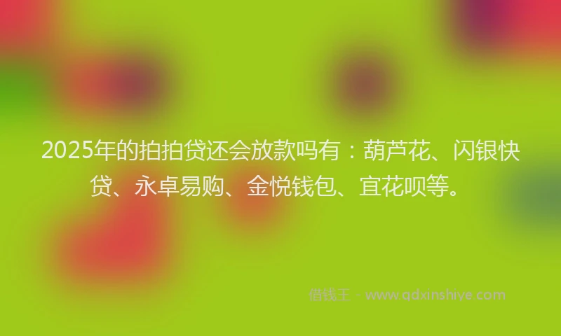 2025年的拍拍贷还会放款吗有：葫芦花、闪银快贷、永卓易购、金悦钱包、宜花呗等。