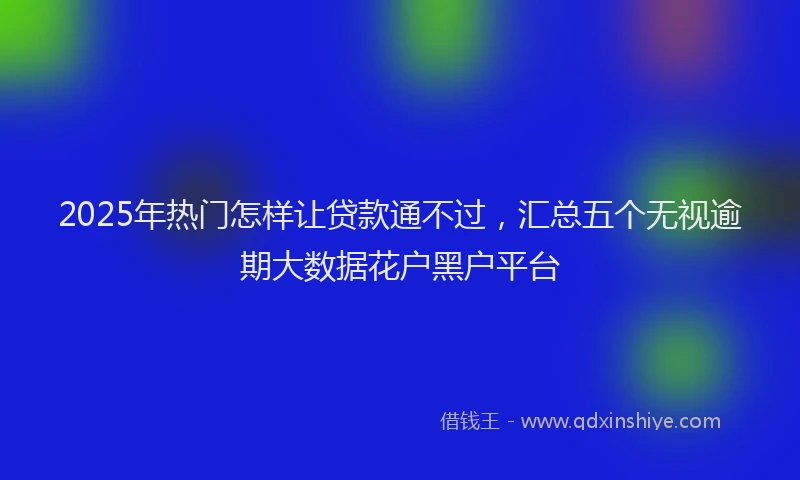 2025年热门怎样让贷款通不过，汇总五个无视逾期大数据花户黑户平台