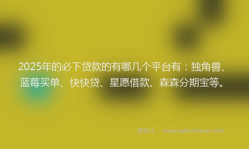 2025年的必下贷款的有哪几个平台有：独角兽、蓝莓买单、快快贷、星愿借款、森森分期宝等。