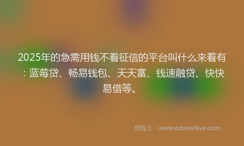 2025年的急需用钱不看征信的平台叫什么来着有：蓝莓贷、畅易钱包、天天富、钱速融贷、快快易借等。