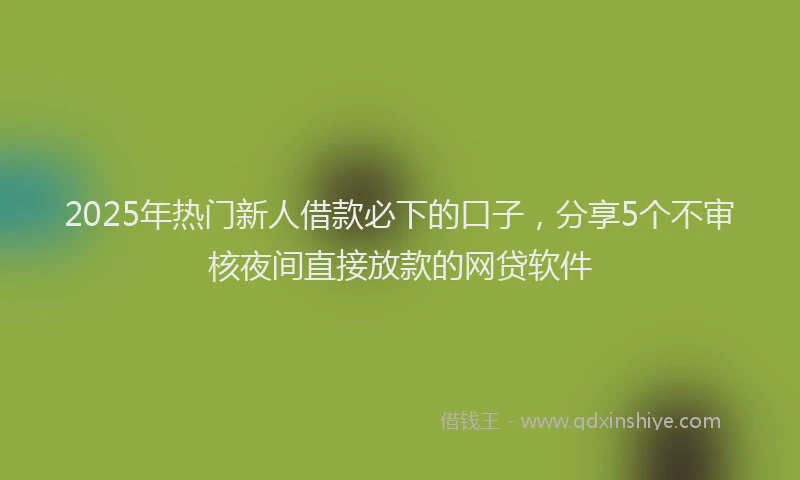 2025年热门新人借款必下的口子，分享5个不审核夜间直接放款的网贷软件