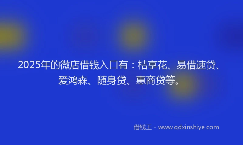 2025年的微店借钱入口有：桔享花、易借速贷、爱鸿森、随身贷、惠商贷等。