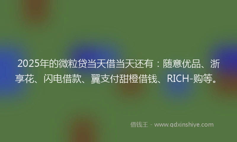 2025年的微粒贷当天借当天还有：随意优品、浙享花、闪电借款、翼支付甜橙借钱、RICH-购等。