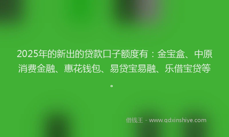 2025年的新出的贷款口子额度有：金宝盒、中原消费金融、惠花钱包、易贷宝易融、乐借宝贷等。
