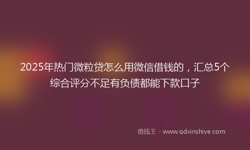2025年热门微粒贷怎么用微信借钱的，汇总5个综合评分不足有负债都能下款口子