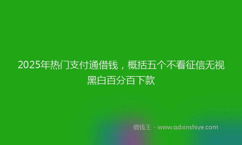 2025年热门支付通借钱，概括五个不看征信无视黑白百分百下款