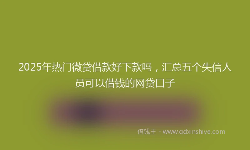 2025年热门微贷借款好下款吗，汇总五个失信人员可以借钱的网贷口子
