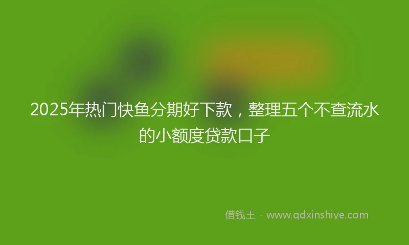 2025年热门快鱼分期好下款，整理五个不查流水的小额度贷款口子