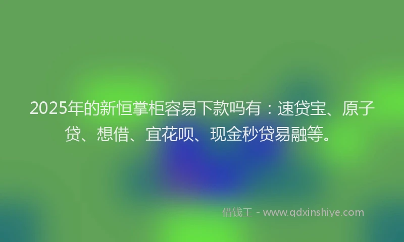 2025年的新恒掌柜容易下款吗有：速贷宝、原子贷、想借、宜花呗、现金秒贷易融等。