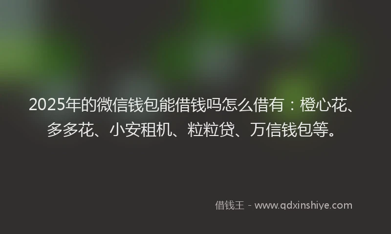 2025年的微信钱包能借钱吗怎么借有：橙心花、多多花、小安租机、粒粒贷、万信钱包等。