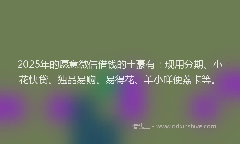 2025年的愿意微信借钱的土豪有：现用分期、小花快贷、独品易购、易得花、羊小咩便荔卡等。