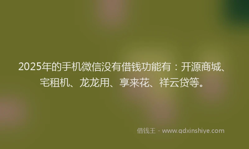 2025年的手机微信没有借钱功能有：开源商城、宅租机、龙龙用、享来花、祥云贷等。