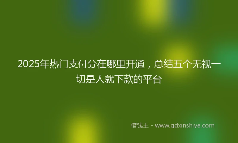 2025年热门支付分在哪里开通，总结五个无视一切是人就下款的平台