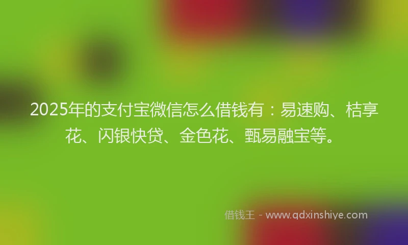 2025年的支付宝微信怎么借钱有：易速购、桔享花、闪银快贷、金色花、甄易融宝等。