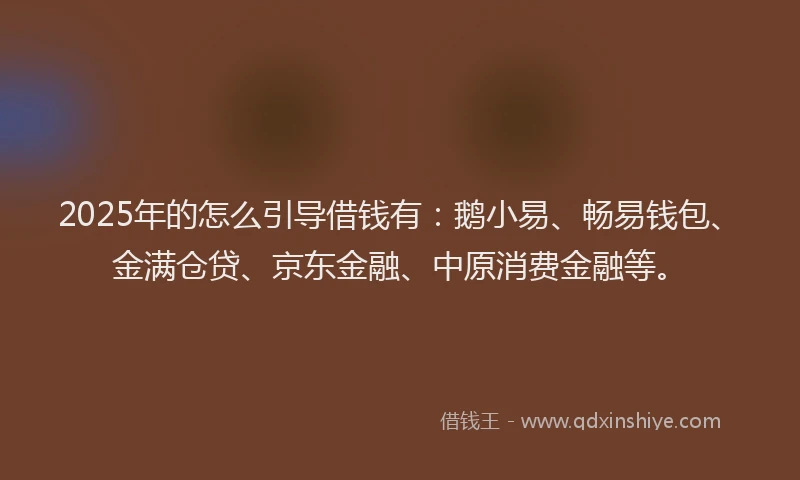 2025年的怎么引导借钱有：鹅小易、畅易钱包、金满仓贷、京东金融、中原消费金融等。