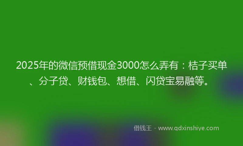 2025年的微信预借现金3000怎么弄有：桔子买单、分子贷、财钱包、想借、闪贷宝易融等。