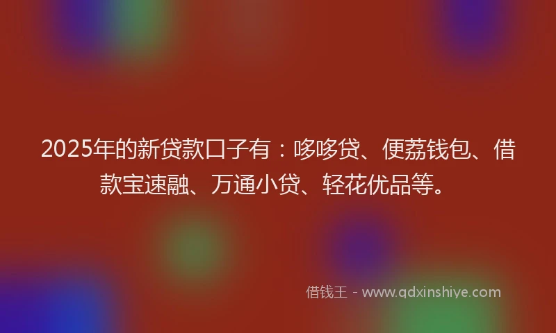 2025年的新贷款口子有：哆哆贷、便荔钱包、借款宝速融、万通小贷、轻花优品等。