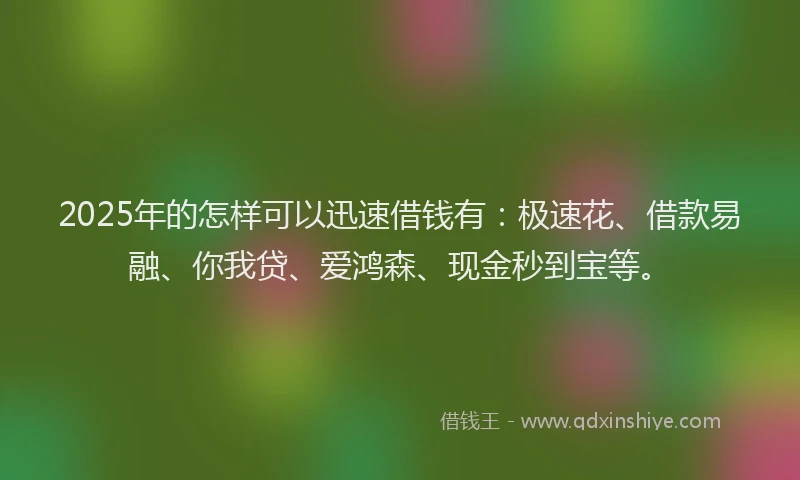 2025年的怎样可以迅速借钱有：极速花、借款易融、你我贷、爱鸿森、现金秒到宝等。