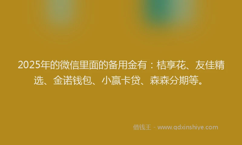 2025年的微信里面的备用金有：桔享花、友佳精选、金诺钱包、小赢卡贷、森森分期等。