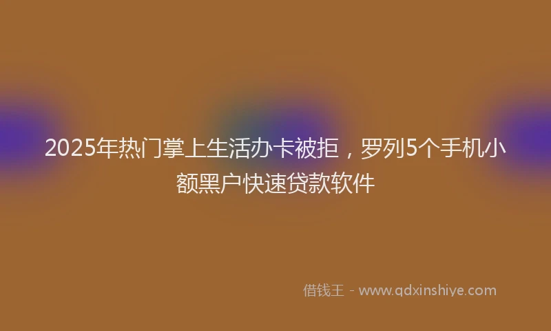2025年热门掌上生活办卡被拒，罗列5个手机小额黑户快速贷款软件