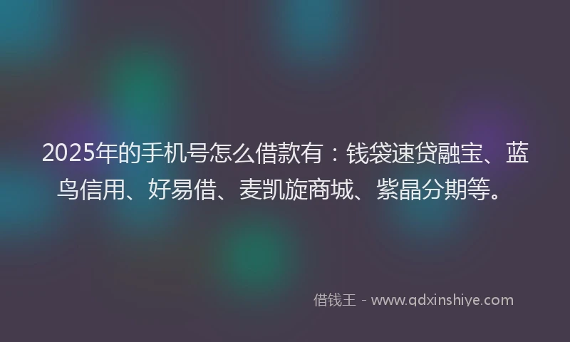 2025年的手机号怎么借款有：钱袋速贷融宝、蓝鸟信用、好易借、麦凯旋商城、紫晶分期等。
