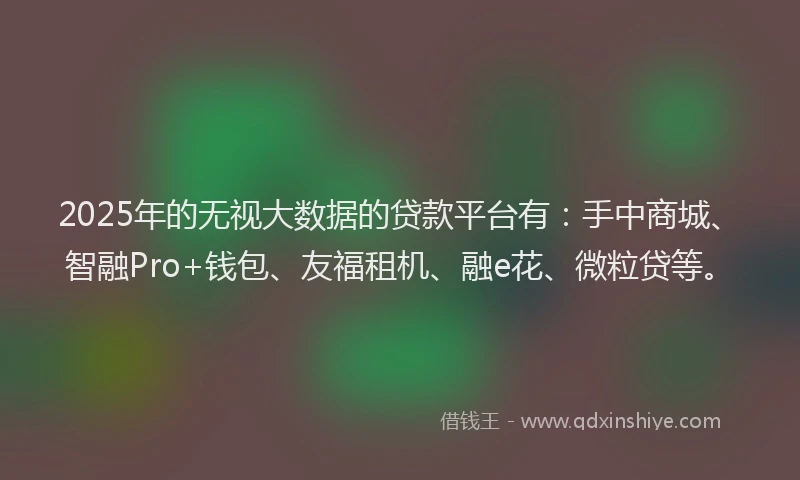 2025年的无视大数据的贷款平台有：手中商城、智融Pro+钱包、友福租机、融e花、微粒贷等。