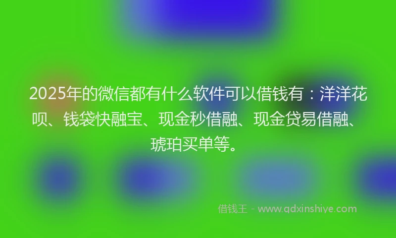 2025年的微信都有什么软件可以借钱有：洋洋花呗、钱袋快融宝、现金秒借融、现金贷易借融、琥珀买单等。