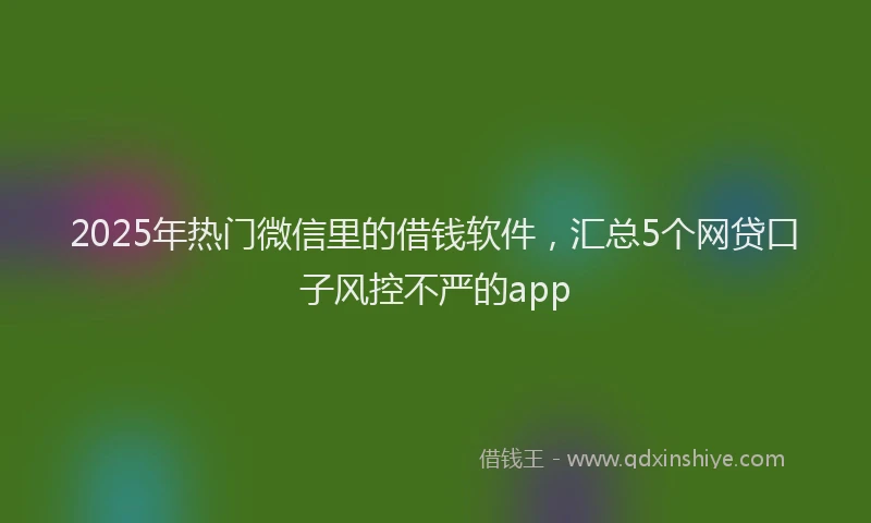 2025年热门微信里的借钱软件，汇总5个网贷口子风控不严的app