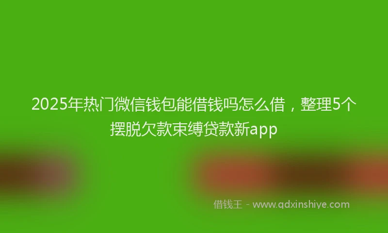 2025年热门微信钱包能借钱吗怎么借，整理5个摆脱欠款束缚贷款新app