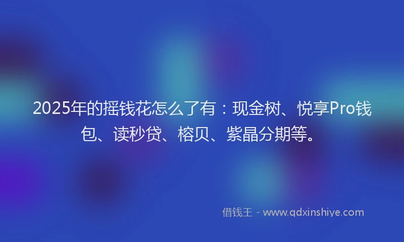 2025年的摇钱花怎么了有：现金树、悦享Pro钱包、读秒贷、榕贝、紫晶分期等。
