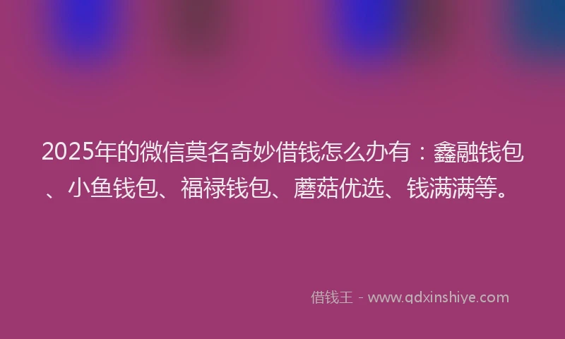 2025年的微信莫名奇妙借钱怎么办有：鑫融钱包、小鱼钱包、福禄钱包、蘑菇优选、钱满满等。