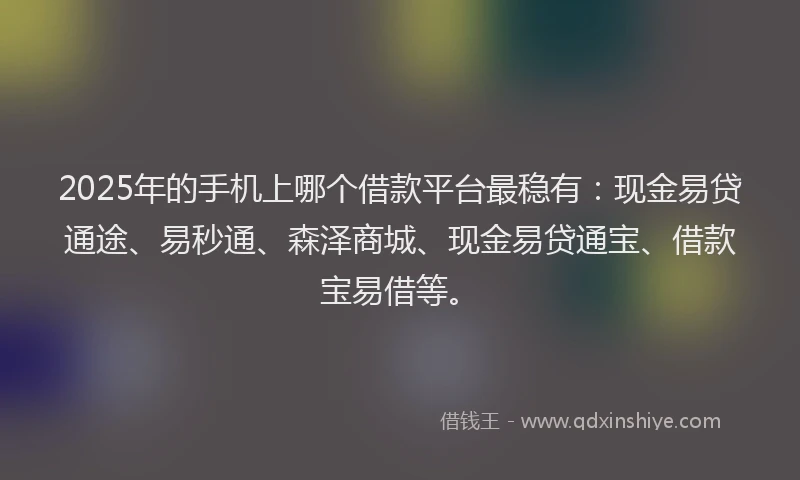 2025年的手机上哪个借款平台最稳有：现金易贷通途、易秒通、森泽商城、现金易贷通宝、借款宝易借等。