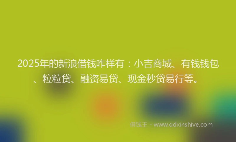 2025年的新浪借钱咋样有：小吉商城、有钱钱包、粒粒贷、融资易贷、现金秒贷易行等。