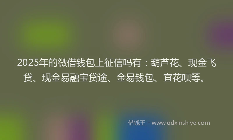 2025年的微借钱包上征信吗有：葫芦花、现金飞贷、现金易融宝贷途、金易钱包、宜花呗等。